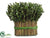 Preserved Boxwood Bundle - Green - Pack of 2