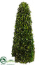 Silk Plants Direct Preserved Tea Leaf Cone Topiary - Green - Pack of 1