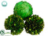 Silk Plants Direct Preserved Boxwood, Laurel Leaf Ball - Green - Pack of 6