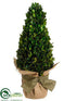 Silk Plants Direct Preserved Boxwood Topiary Cone - Green - Pack of 4