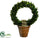 Preserved Boxwood Wreath Topiary - Green - Pack of 2