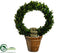 Silk Plants Direct Preserved Boxwood Wreath Topiary - Green - Pack of 2