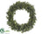 Preserved Boxwood Wreath - Green - Pack of 2