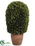 Silk Plants Direct Preserved Boxwood Ball Topiary - Green - Pack of 1