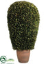 Silk Plants Direct Preserved Boxwood Ball Topiary - Green - Pack of 1