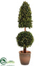 Silk Plants Direct Preserved Boxwood Pyramid Ball Topiary - Green - Pack of 2