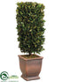 Silk Plants Direct Preserved Boxwood Rectangular Topiary - Green - Pack of 3