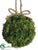 Preserved Reindeer Moss Ball - Green - Pack of 6