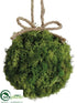 Silk Plants Direct Preserved Reindeer Moss Ball - Green - Pack of 6