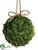 Preserved Reindeer Moss Ball - Green - Pack of 4