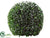 Silk Plants Direct Preserved Tea Leaf Ball - Green White - Pack of 1