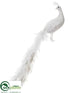 Silk Plants Direct Peacock - White - Pack of 4