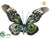 Butterfly - Green Brown - Pack of 24