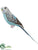 Parakeet Bird - Aqua Gray - Pack of 12