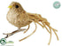 Silk Plants Direct Burlap Bird - Beige - Pack of 24