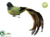 Silk Plants Direct Singing Bird - Moss - Pack of 12