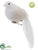 Silk Plants Direct Long Tailed Bird - White - Pack of 12