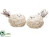 Silk Plants Direct Bird - Cream White - Pack of 3