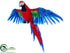 Silk Plants Direct Macaw - Blue Red - Pack of 4