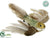 Bird - Brown Green - Pack of 12