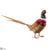 Pheasant - Burgundy Brown - Pack of 2