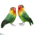 Silk Plants Direct Parrot - Green Orange - Pack of 12