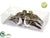 Song Birds - Natural - Pack of 6