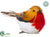 Silk Plants Direct Bird - Red Tan - Pack of 12