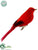 Summer Tanager - Red - Pack of 12