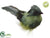 Bird - Green Two Tone - Pack of 12