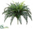 Silk Plants Direct River Fern Bush - Green - Pack of 4