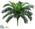 Silk Plants Direct Cycas Palm Plant - Green - Pack of 6
