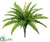 Silk Plants Direct Boston Fern Bush - Green - Pack of 12