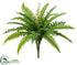 Silk Plants Direct Boston Fern Bush - Green - Pack of 12