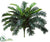 Silk Plants Direct Cycas Palm Plant - Green - Pack of 6
