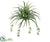 Silk Plants Direct Spider Plant - Green - Pack of 12