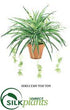 Silk Plants Direct Spider Plant - - Pack of 6