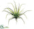 Silk Plants Direct Tillandsia Spray - Green - Pack of 24
