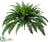 Silk Plants Direct Boston Fern Bush - Green - Pack of 2