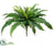 Silk Plants Direct Boston Fern Bush - Green - Pack of 6