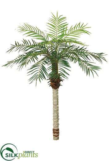 silk plants palm springs Artificial Date Palm Trees | 5.5' Date Palm Tree in Green | Faux Palm Trees Outdoor