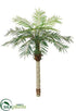 Silk Plants Direct Date Palm Tree - Green - Pack of 2