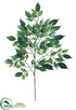 Silk Plants Direct Nitida Ficus Spray - Green - Pack of 12