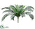Silk Plants Direct Cycas Palm Plant - Green - Pack of 4