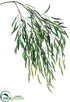 Silk Plants Direct Weeping Willow Spray - Green - Pack of 12