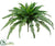 Silk Plants Direct Large Boston Fern Bush - Green - Pack of 4