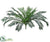 Silk Plants Direct Cycas Palm Plant - Green - Pack of 2