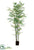 Silk Plants Direct Bamboo Tree - Green - Pack of 2