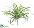 Silk Plants Direct Spider Plant - Green - Pack of 12