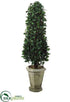 Silk Plants Direct Ficus Cone Tree - Green - Pack of 1